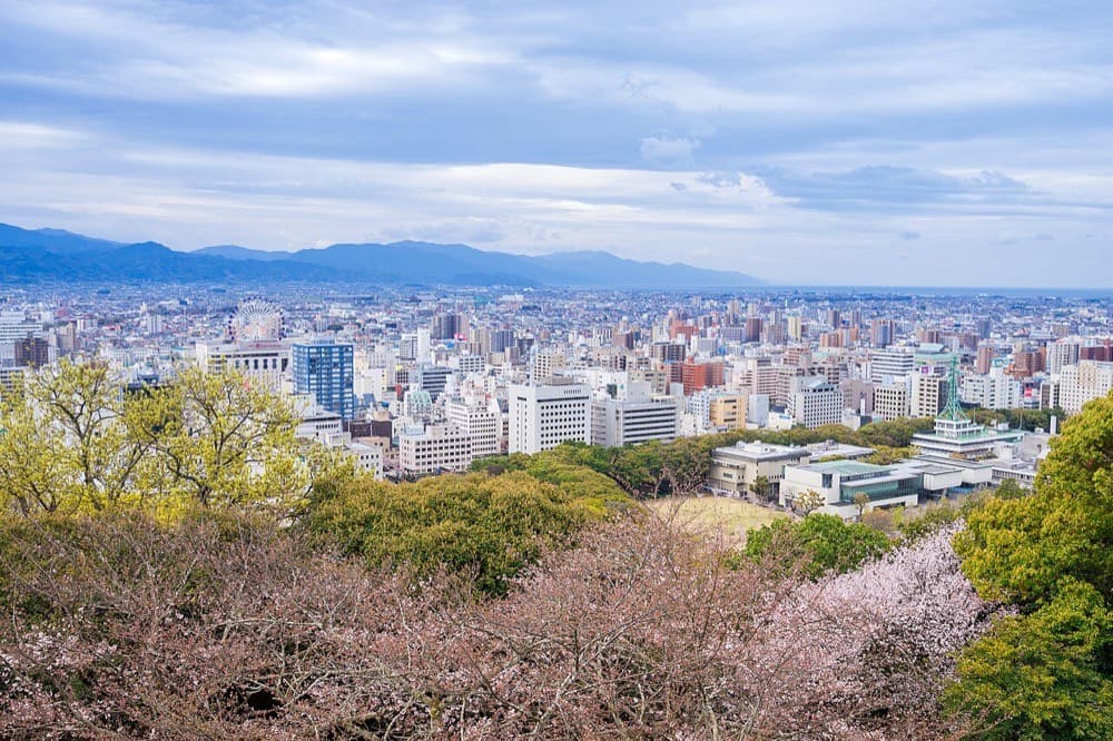 松山城から望む桜と市街