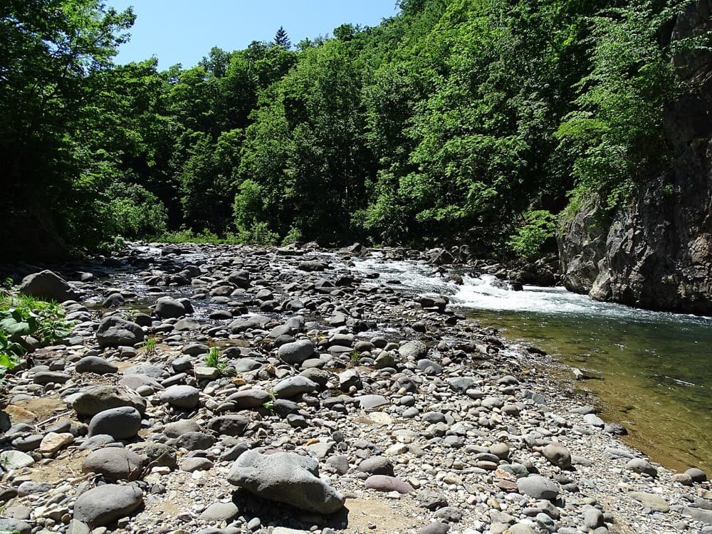 夏の豊平川（定山渓）