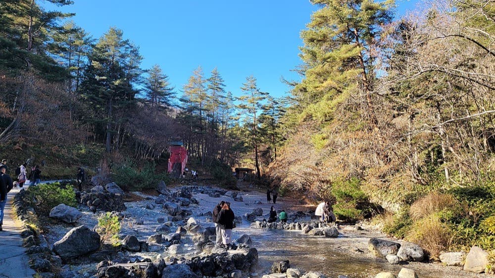 西の河原公園（11月下旬）