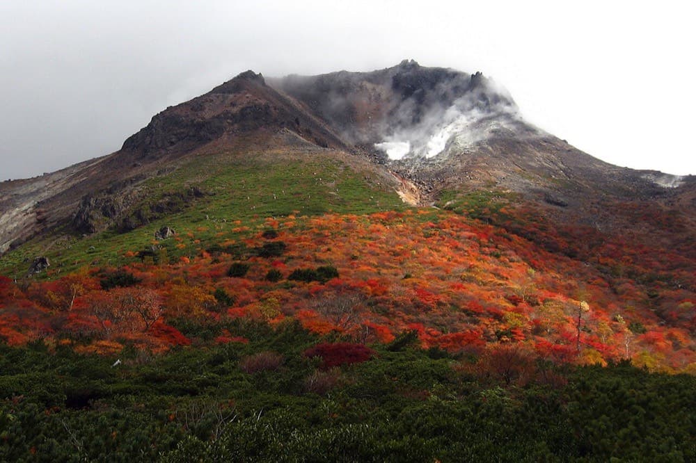 紅葉に染まる茶臼岳
