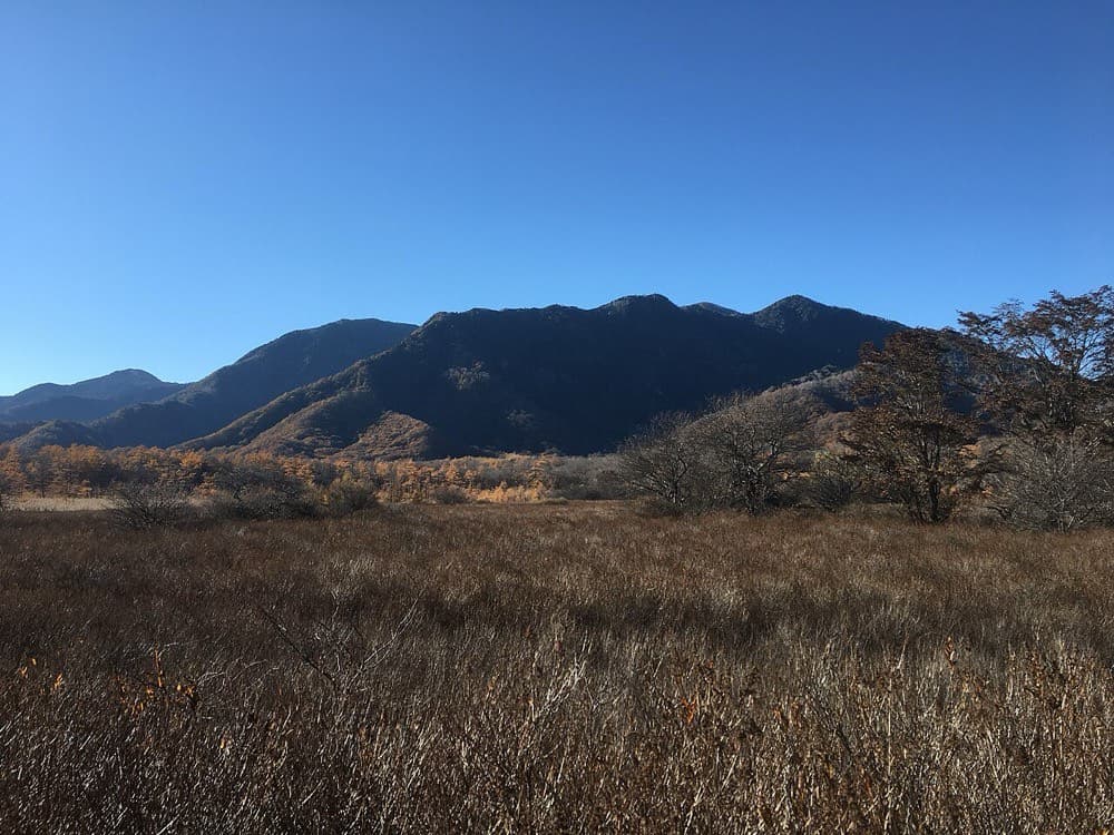 戦場ヶ原の草紅葉