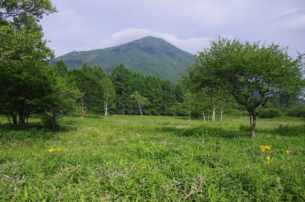 夏の戦場ヶ原と男体山