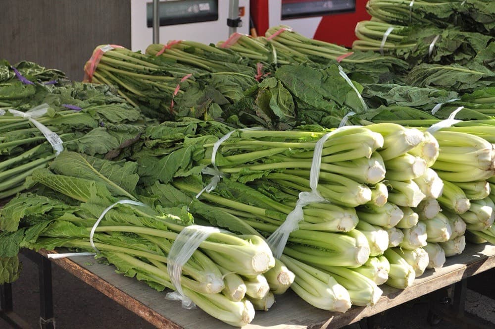 野沢菜（イメージ）
