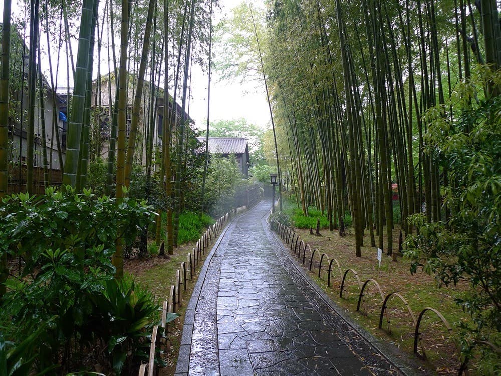 修善寺・竹林の小径