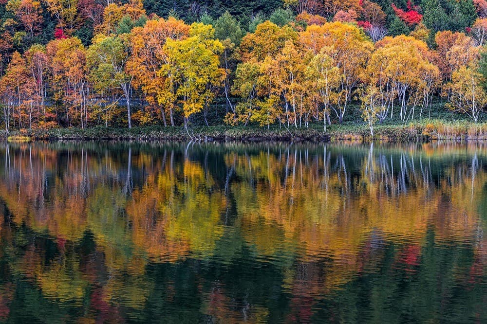 志賀高原・木戸池の紅葉