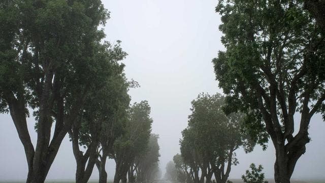 レジーナリゾート箱根仙石原 - 温泉・お風呂