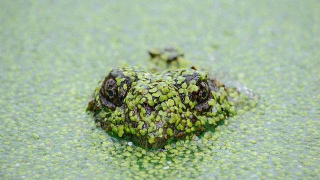 修善寺温泉　国の登録文化財の宿　新井旅館 - 温泉・お風呂