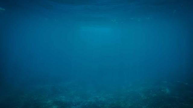 日光温泉　日光千姫物語 - 温泉・お風呂