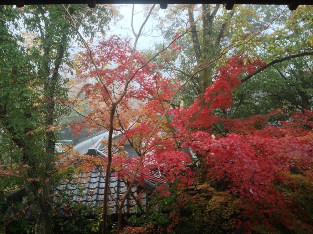 由布院の紅葉